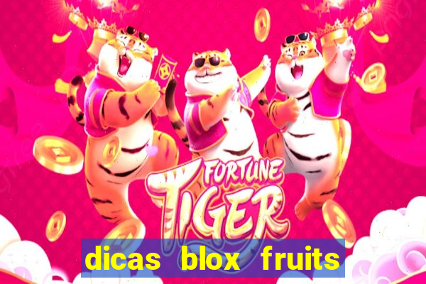 dicas blox fruits sea 1