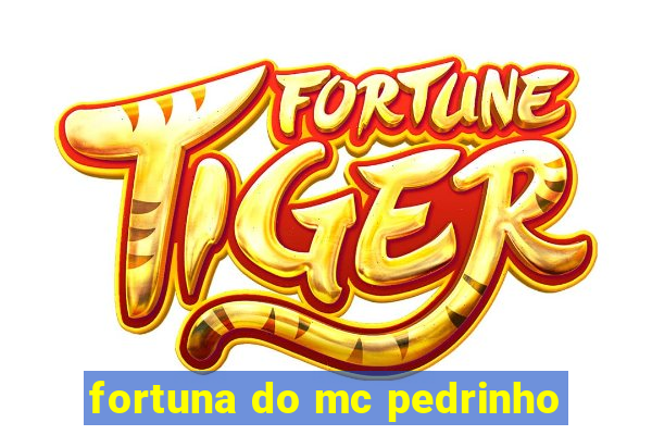 fortuna do mc pedrinho