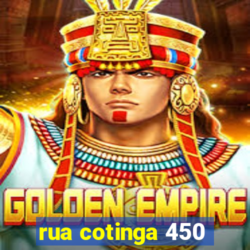 rua cotinga 450