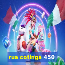 rua cotinga 450