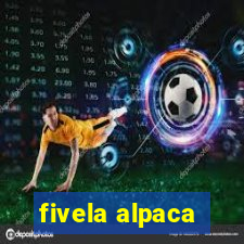 fivela alpaca