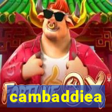 cambaddiea