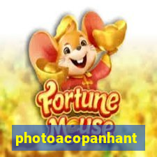 photoacopanhante.