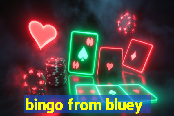 bingo from bluey