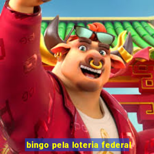 bingo pela loteria federal