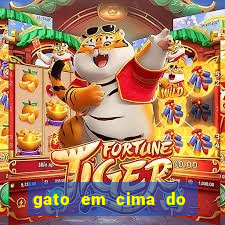 gato em cima do telhado significado espiritual