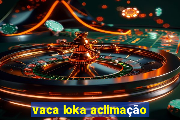 vaca loka aclimação