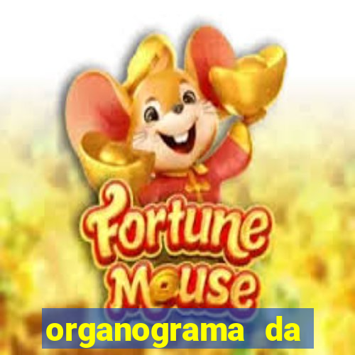 organograma da cacau show