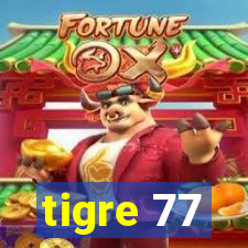 tigre 77