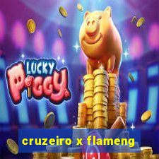 cruzeiro x flameng