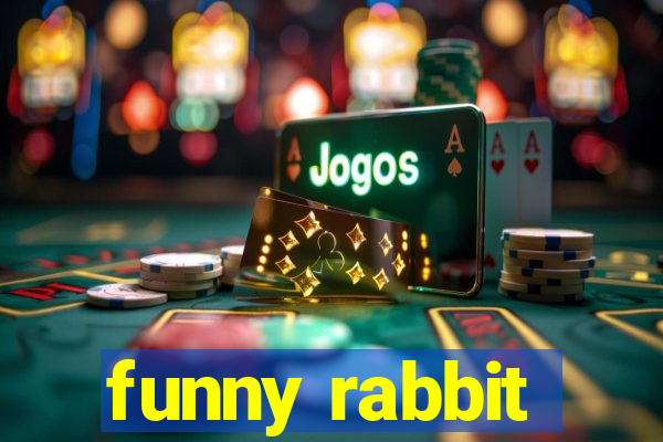 funny rabbit