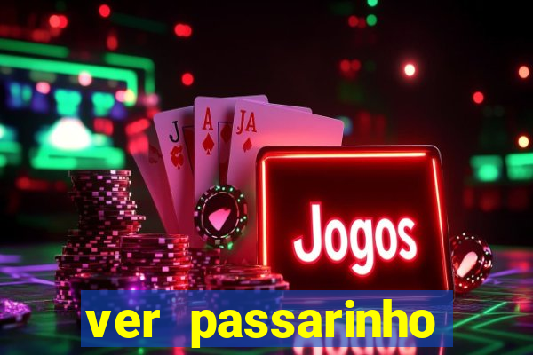 ver passarinho morto significado