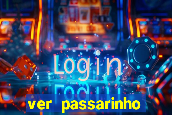 ver passarinho morto significado