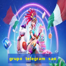 grupo telegram sao jose do rio preto