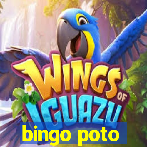 bingo poto