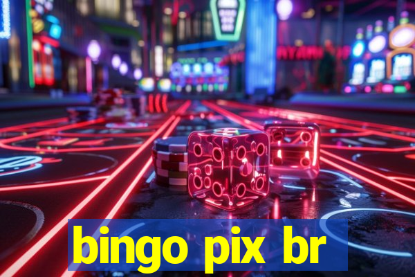 bingo pix br