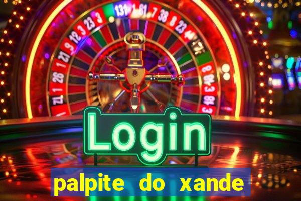 palpite do xande de hoje