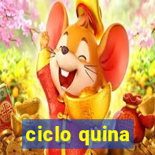 ciclo quina