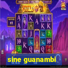 sine guanambi