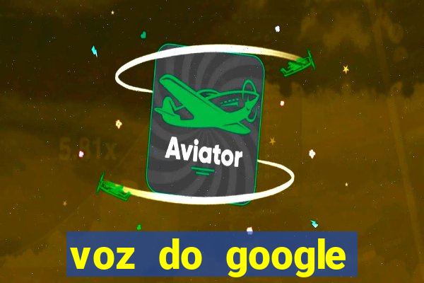 voz do google tradutor homem