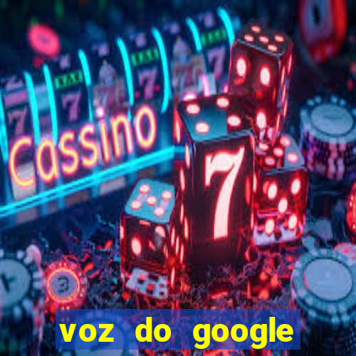 voz do google tradutor homem