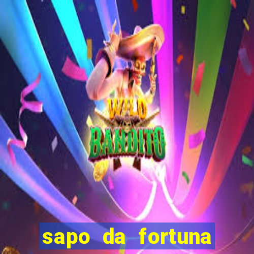 sapo da fortuna feng shui