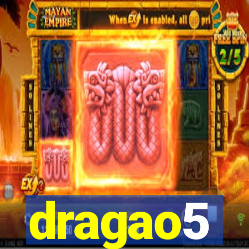 dragao5