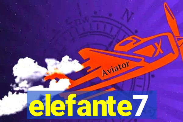 elefante7