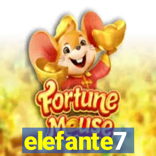 elefante7