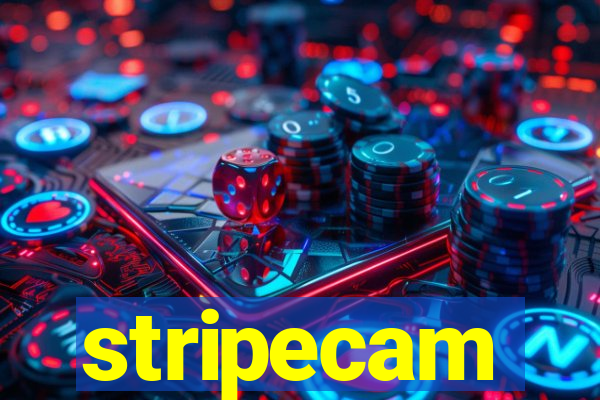 stripecam