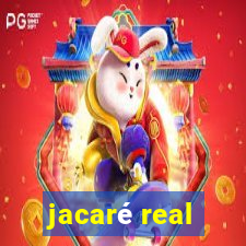 jacaré real