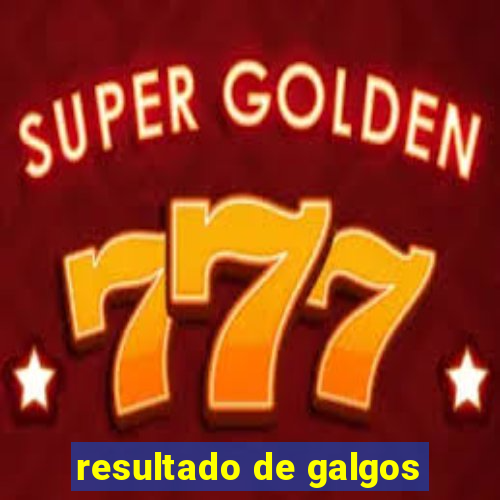 resultado de galgos