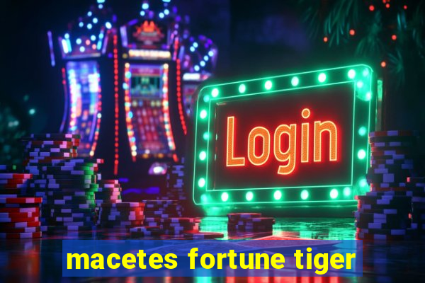 macetes fortune tiger