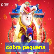 cobra pequena