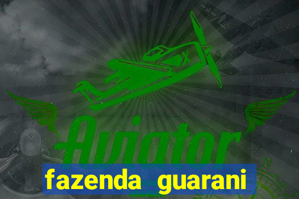 fazenda guarani nova andradina