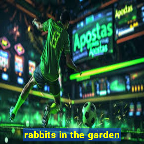 rabbits in the garden