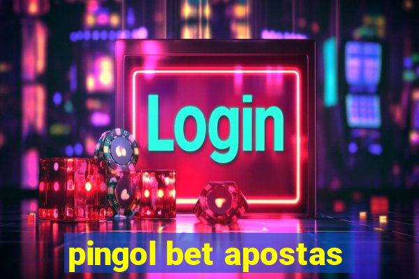 pingol bet apostas