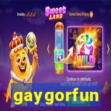 gaygorfun