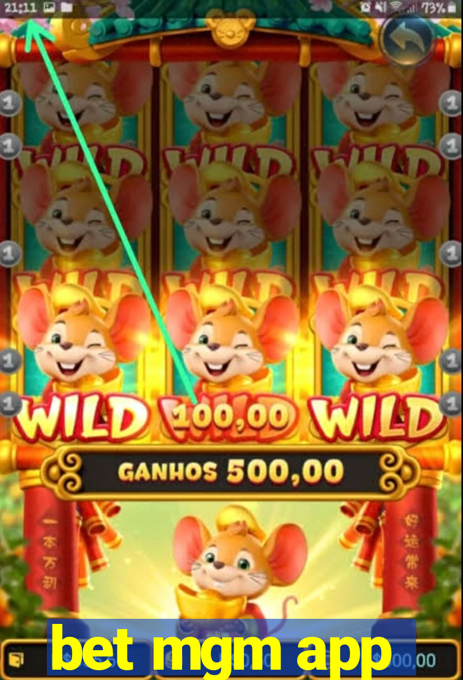 bet mgm app