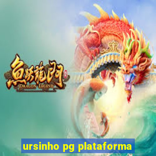 ursinho pg plataforma