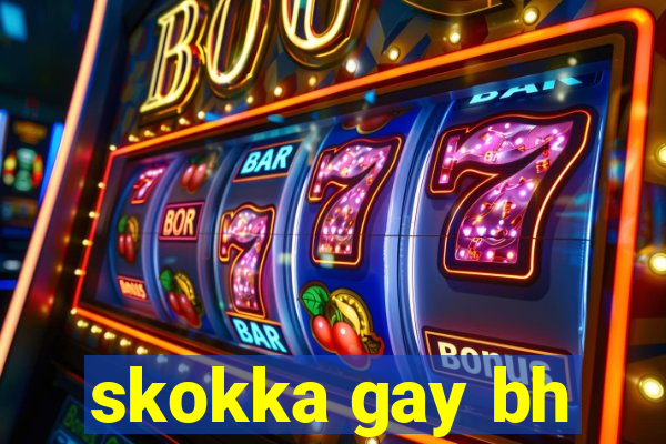 skokka gay bh