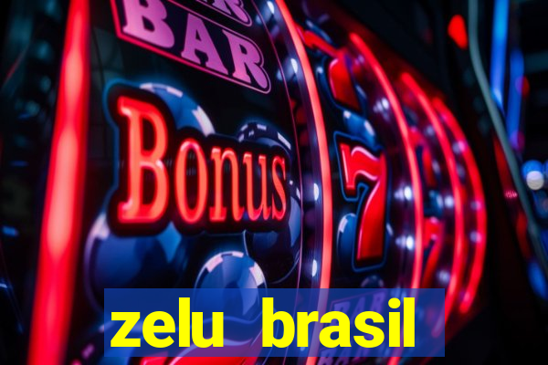 zelu brasil facilitadora de pagamentos ltda jogos