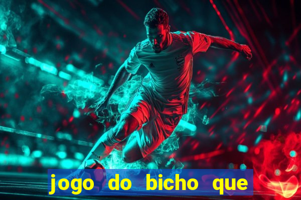 jogo do bicho que da dinheiro