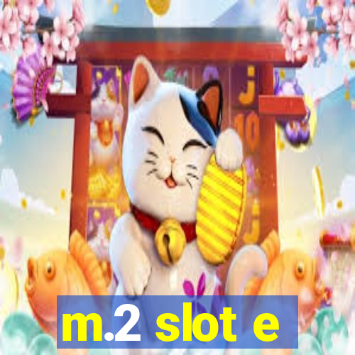 m.2 slot e