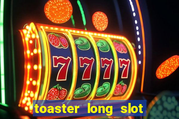 toaster long slot 2 slice