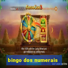 bingo dos numerais