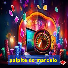 palpite do marcelo