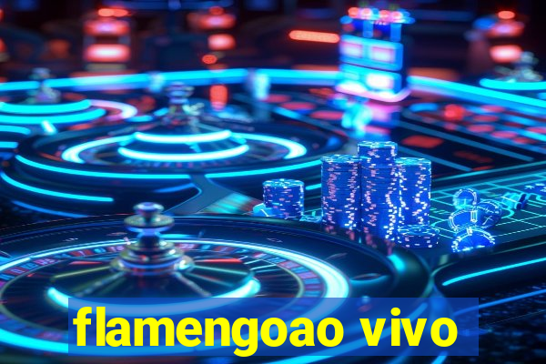 flamengoao vivo