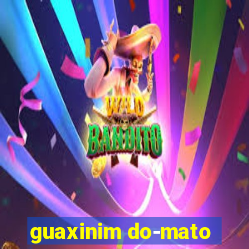 guaxinim do-mato