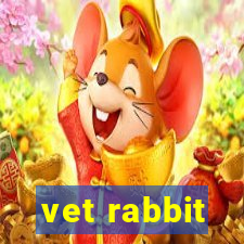 vet rabbit